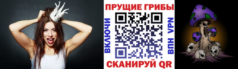 Псилоцибиновые грибы мухоморы  как найти закладки  Кинешма 