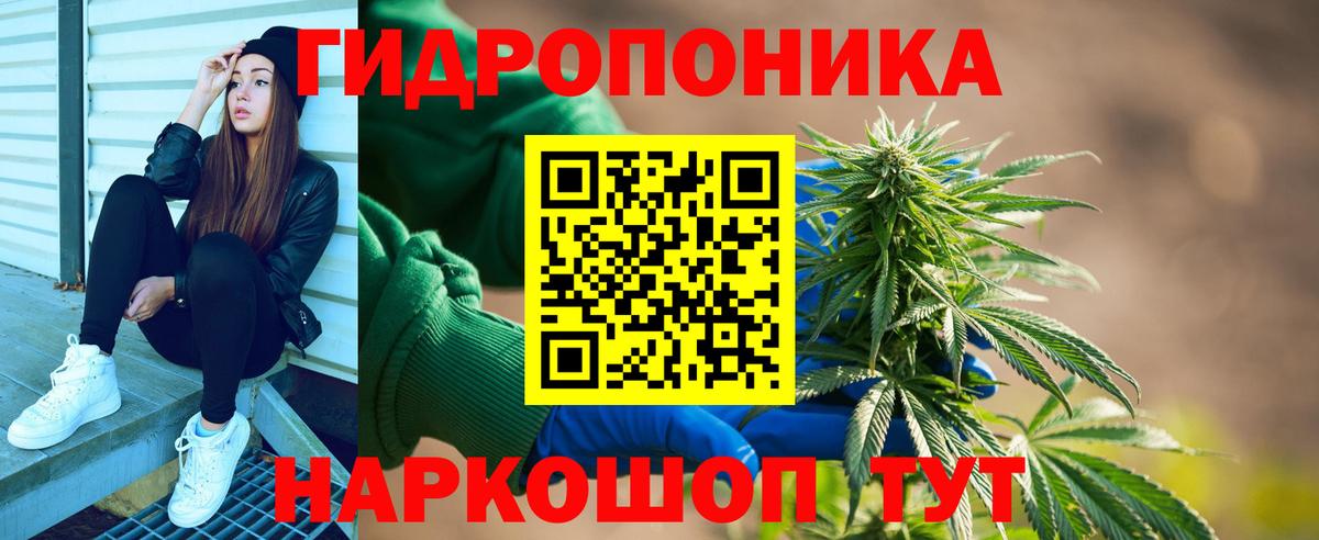 Канабис конопля  Канабис AK-47  Конопля гибрид  Кинешма  Вход с VPN 